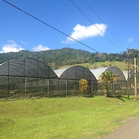 Parador Villas Sotomayor Adjuntas Exterior foto